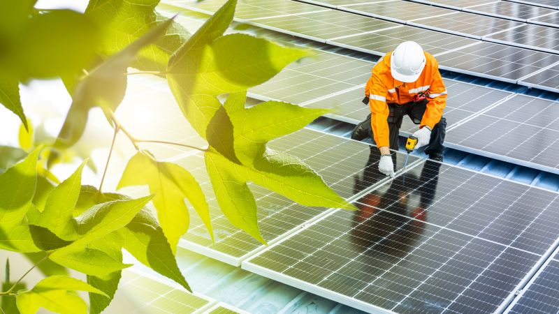 Local Solar Suppliers